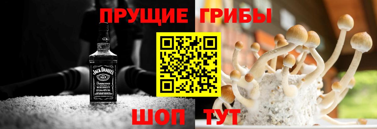 Галлюциногенные грибы GOLDEN TEACHER  Вход с VPN  Ивантеевка  Галлюциногенные грибы Psilocybe 